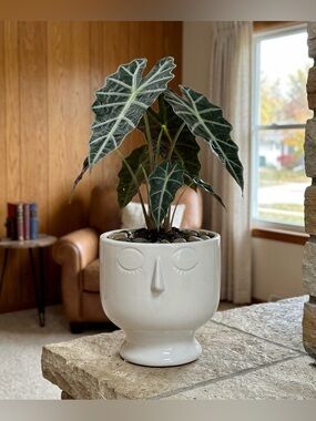 White Ceramic Face Planter - 7" Minimalist Head Pot for Indoor Plants - Modern